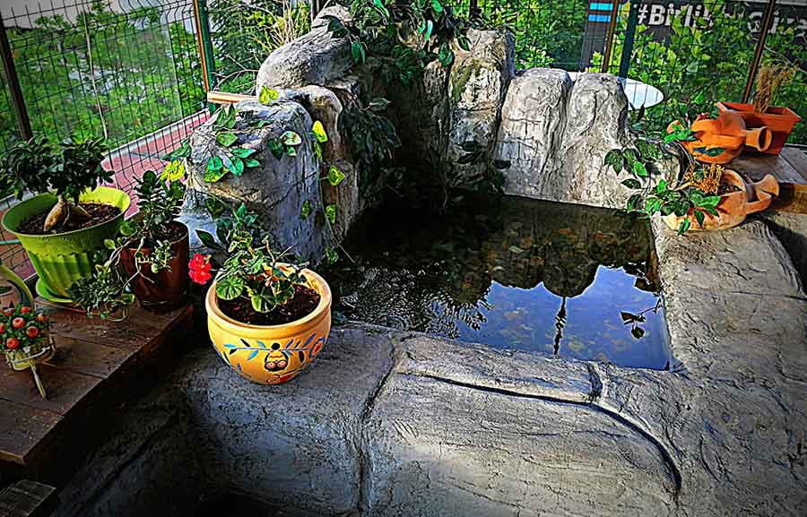 Salsa Ankara Dans Akademisi - Dans Gecesi