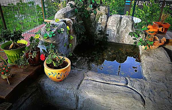 Salsa Ankara Dans Akademisi - Dans Gecesi - 14. Fotoğraf